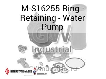 Ring - Retaining - Water Pump — M-S16255