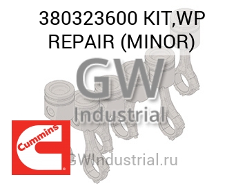 KIT,WP REPAIR (MINOR) — 380323600