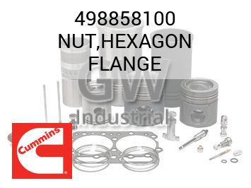 NUT,HEXAGON FLANGE — 498858100