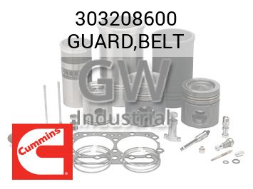 GUARD,BELT — 303208600