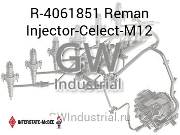 ФОРСУНКА ВОССТАНОВЛЕННАЯ CELECT M12
