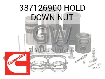 HOLD DOWN NUT — 387126900