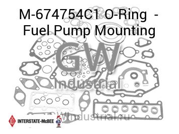 O-Ring  - Fuel Pump Mounting — M-674754C1