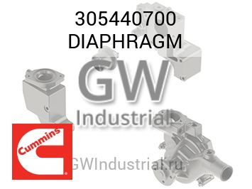 DIAPHRAGM — 305440700