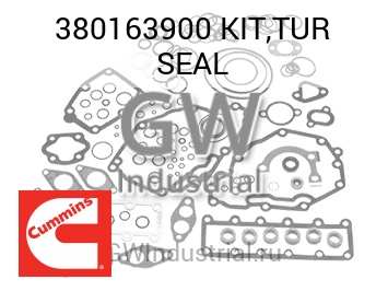 KIT,TUR SEAL — 380163900