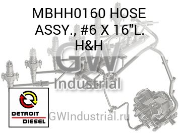 В СБОРЕ (ШЛАНГ) #6 X 16