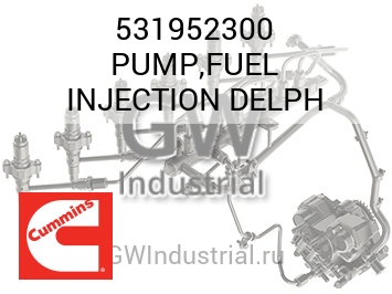 PUMP,FUEL INJECTION DELPH — 531952300