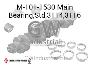 Main Bearing,Std,3114,3116 — M-101-1530