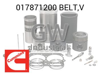 BELT,V — 017871200