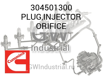 PLUG,INJECTOR ORIFICE — 304501300