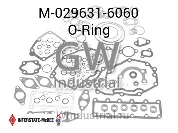 O-Ring — M-029631-6060
