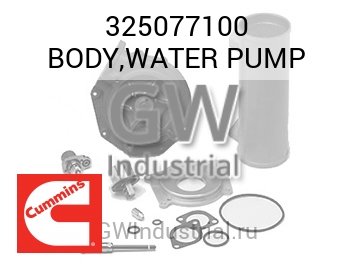 BODY,WATER PUMP — 325077100