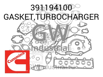GASKET,TURBOCHARGER — 391194100