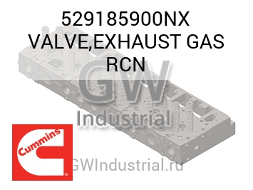 VALVE,EXHAUST GAS RCN — 529185900NX
