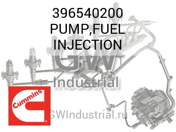 PUMP,FUEL INJECTION — 396540200