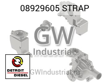 STRAP — 08929605