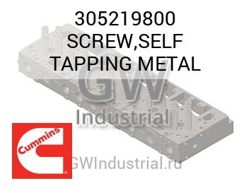 SCREW,SELF TAPPING METAL — 305219800