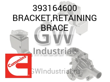 BRACKET,RETAINING BRACE — 393164600