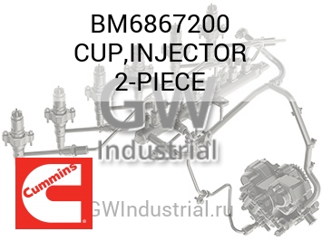 CUP,INJECTOR 2-PIECE — BM6867200