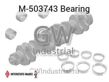 Bearing — M-503743