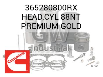 HEAD,CYL 88NT PREMIUM GOLD — 365280800RX