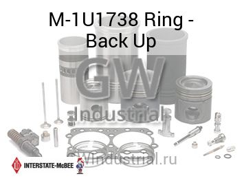 Ring - Back Up — M-1U1738