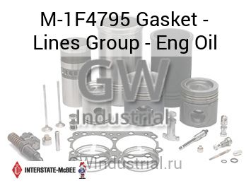 Gasket - Lines Group - Eng Oil — M-1F4795