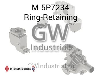 Ring-Retaining — M-5P7234