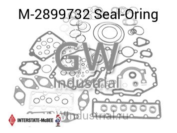 Seal-Oring — M-2899732