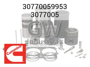 3077005 — 30770059953