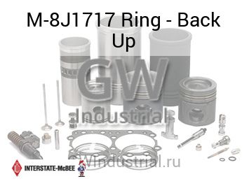 Ring - Back Up — M-8J1717