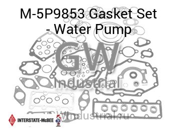 Gasket Set - Water Pump — M-5P9853