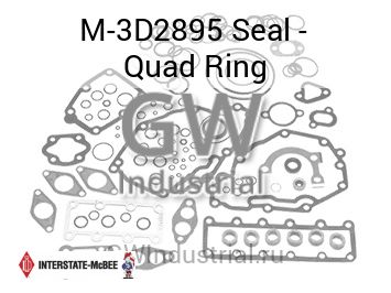 Seal - Quad Ring — M-3D2895