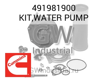 KIT,WATER PUMP — 491981900