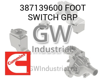 FOOT SWITCH GRP — 387139600