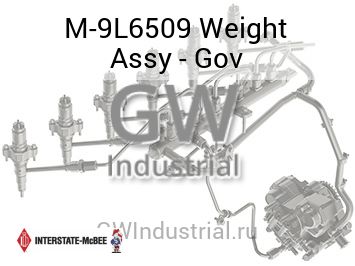 Weight Assy - Gov — M-9L6509