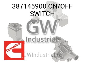 ON/OFF SWITCH — 387145900