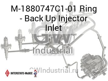 Ring - Back Up Injector Inlet — M-1880747C1-01