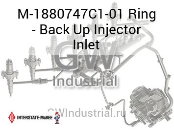 Ring - Back Up Injector Inlet — M-1880747C1-01