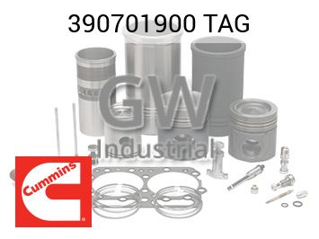 TAG — 390701900