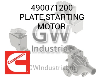 PLATE,STARTING MOTOR — 490071200