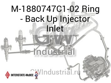 Ring - Back Up Injector Inlet — M-1880747C1-02