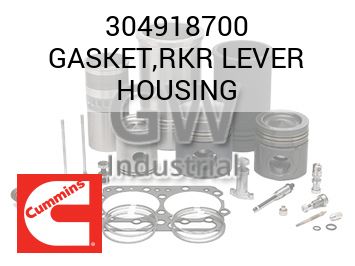 GASKET,RKR LEVER HOUSING — 304918700