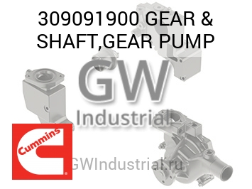 GEAR & SHAFT,GEAR PUMP — 309091900