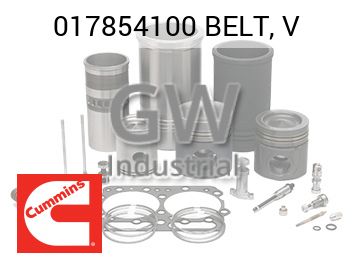 BELT, V — 017854100