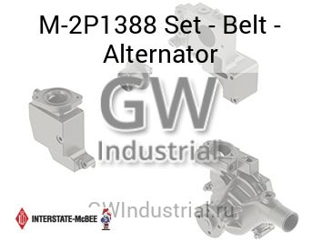 Set - Belt - Alternator — M-2P1388