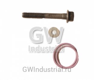 КОЛЬЦА ФОРСУНКИ