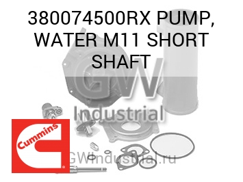 PUMP, WATER M11 SHORT SHAFT — 380074500RX