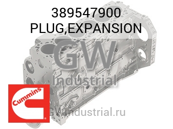 PLUG,EXPANSION — 389547900