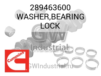 WASHER,BEARING LOCK — 289463600